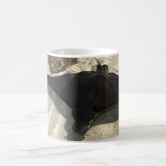 Stingray コーヒーマグカップ (中央)