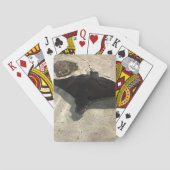 Stingray トランプ (裏面)