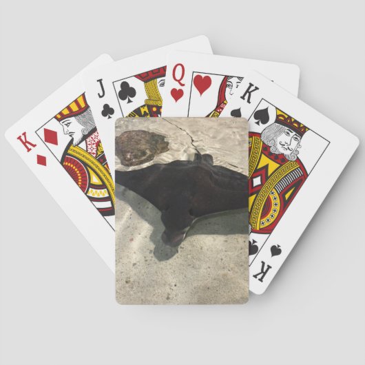 Stingray トランプ (裏面)