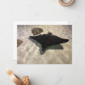 Stingray ノートカード (正面/裏面インサイチュ)