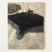 Stingray プランナー手帳 (裏面)