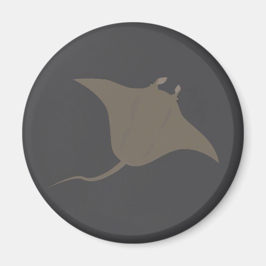 Stingray マグネット (正面)