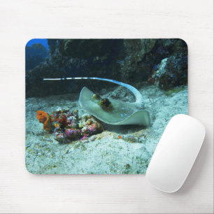Stingray in move - Photo taked at Coral Triangle マウスパッド
