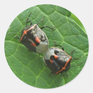 Stinkbugs ～ステッカー ラウンドシール