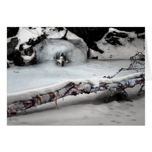 Stinsonの小川Birchfall (正面横)