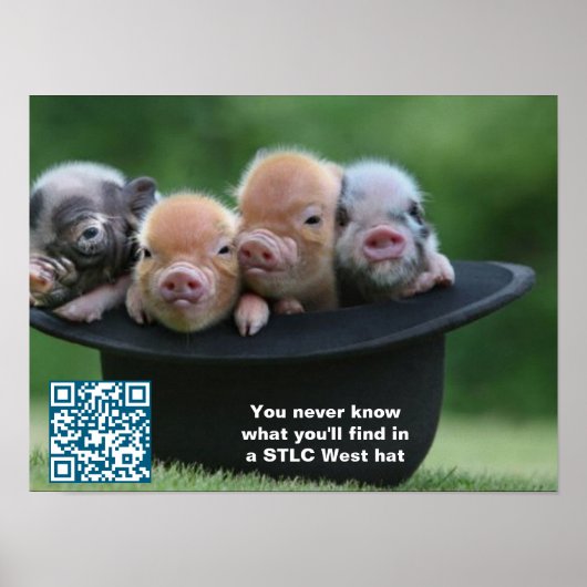 STLCウェストハットポスター ポスター (正面)