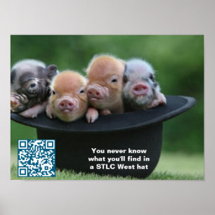 STLC ウェスト ハット ポスター