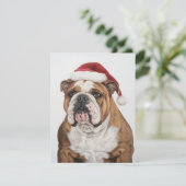 Stoic Bulldog Painting Santa Hat Christmas シーズンカード (スタンド正面)
