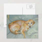 Stoliの郵便はがき ポストカード (正面/裏面)