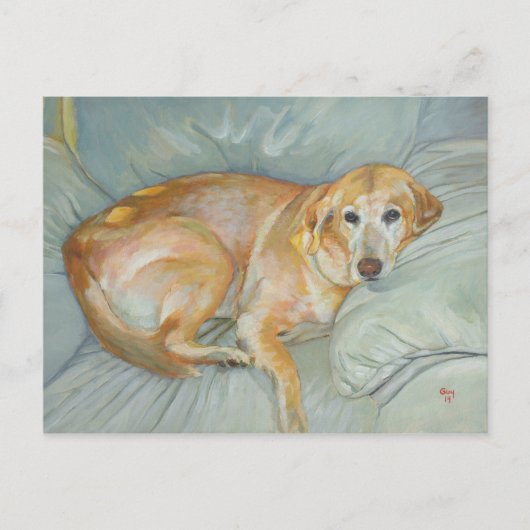 Stoliの郵便はがき ポストカード (正面)