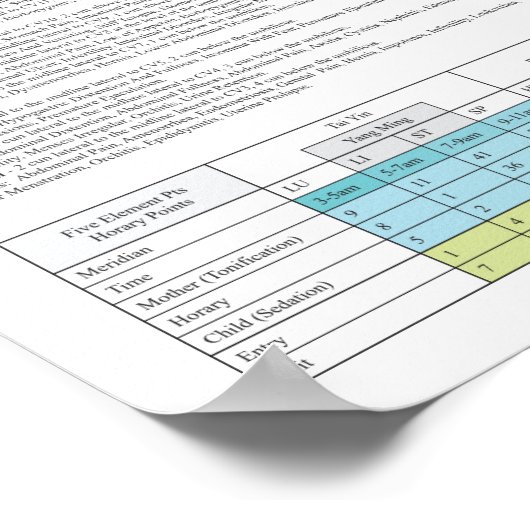 Stomach Meridian Acupuncture Points ポスター (角)