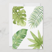 Stomp Chomp Roar Dinosaur Birthday Invitation 招待状 (裏面)