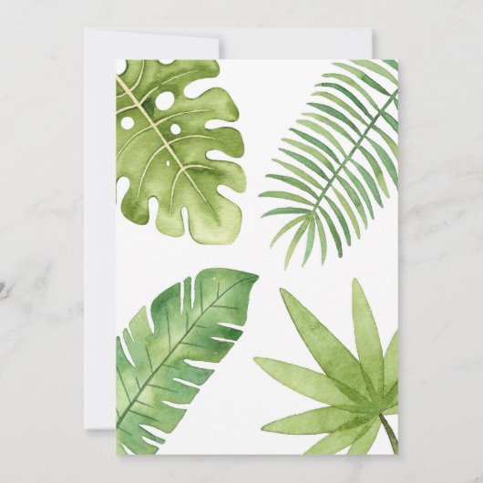 Stomp Chomp Roar Dinosaur Birthday Invitation 招待状 (裏面)