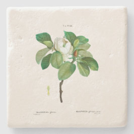 STONE COASTER :マグノリア：レドテ ストーンコースター