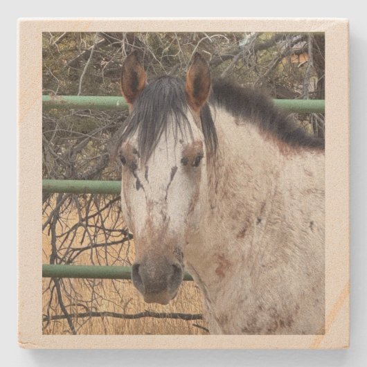 Stone Coaster- Happy Appy ストーンコースター (正面)