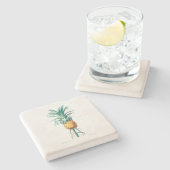 STONE COASTER : PINEAPPLE : REDOUTE ストーンコースター (横)