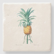 STONE COASTER : PINEAPPLE : REDOUTE