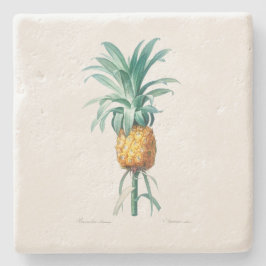 STONE COASTER : PINEAPPLE : REDOUTE ストーンコースター