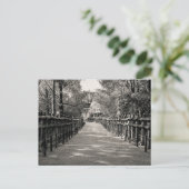 Stone Lantern Path at a Japanese Shrine – Black an ポストカード (スタンド正面)