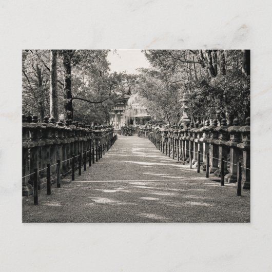 Stone Lantern Path at a Japanese Shrine – Black an ポストカード (正面)