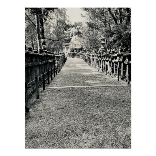 Stone Lanterns Along a Shrine Approach in Japan ポスター (正面)