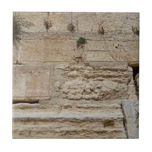 Stones Kotel Western Wall Jerusalem タイル (正面)