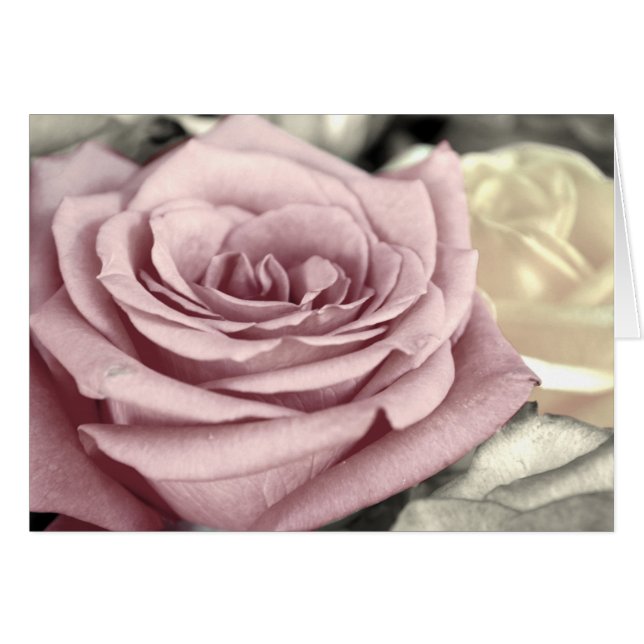 ~SToPはおよびRoSeS~をかぎます (正面横)