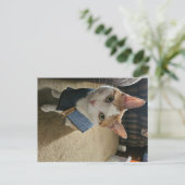 Stop Embarrassing Me! Postcard シーズンポストカード (スタンド正面)