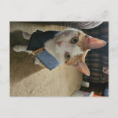 Stop Embarrassing Me! Postcard シーズンポストカード (正面)