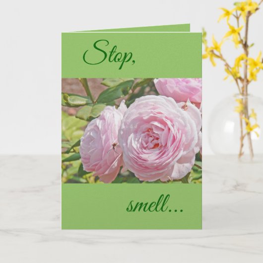 "STOP...SMELL...AND REMEMBER THE ROSE'S SWEET ..." カード (黄色い花)