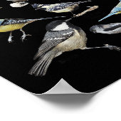 Stop Staring At My Funny Birds Lover Saying Quote  ポスター (角)