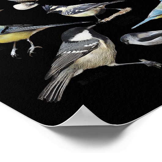 Stop Staring At My Funny Birds Lover Saying Quote  ポスター (角)