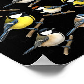 Stop Staring At My Funny Birdwatching Birds Lover  ポスター (角)