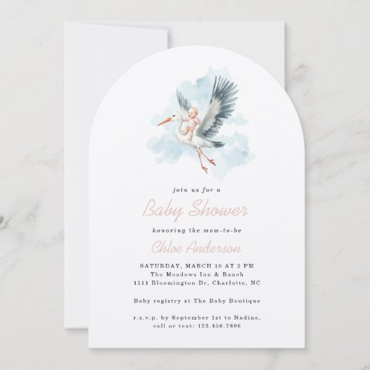 Storkピンク赤ちゃん女の子の水色ベビシャワーアーチ 招待状 (正面)