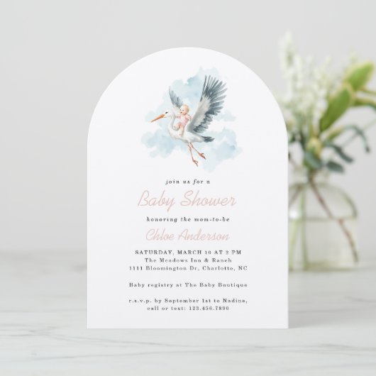 Storkピンク赤ちゃん女の子の水色ベビシャワーアーチ 招待状 (スタンド正面)