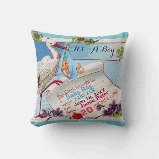STORK、ベビー、SHAMROCKSフローラ少年ベビー統計 クッション (正面)