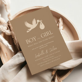 Stork Baby Delivery Boy Or Girl Gender Reveal 招待状