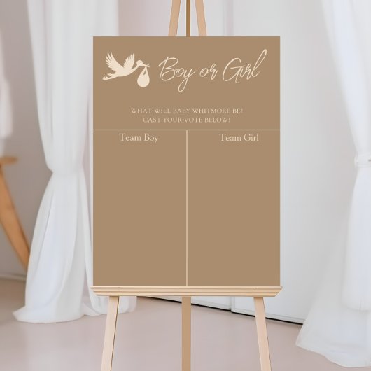 Stork Baby Delivery Gender Reveal Prediction ポスター