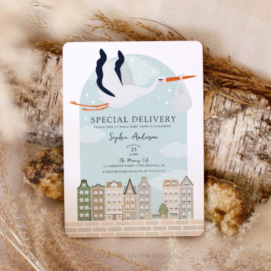 Stork Boho Baby Shower Special Delivery Sprinkle 招待状