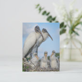 「Stork Family」ポストカード ポストカード (スタンド正面)
