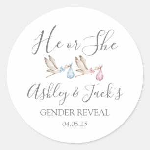 Stork Gender Revealステッカー、Storkメッセージカード、 ラウンドシール