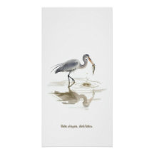 Stork in water