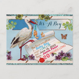 STORK,SHAMROCKS BOY BABY SHOWER誕生統計 インビテーションポストカード