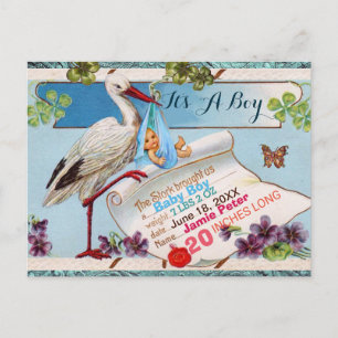 STORK,SHAMROCKS BOY BABY SHOWER誕生統計 インビテーションポストカード