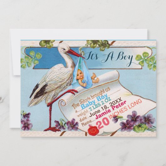 STORK,SHAMROCKS BOY BABY SHOWER誕生統計 招待状 (正面)