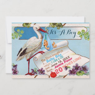 STORK,SHAMROCKS BOY BABY SHOWER誕生統計 招待状