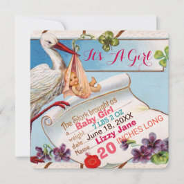 STORK,SHAMROCKS GiRL赤ちゃんシャワー誕生状態 招待状