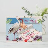 STORK,SHAMROCKS GiRL赤ちゃんシャワー誕生統計 招待状 (スタンド正面)