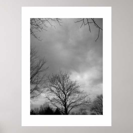 Storm Canvasの前に落ち着く ポスター (正面)