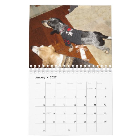 Stormi 2012年 カレンダー (1月 2027)